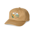 DRY TIN LOW-PROFILE LOGGER CAP