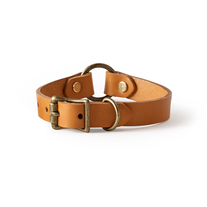 Bridle Leather Puppy Collar | Filson