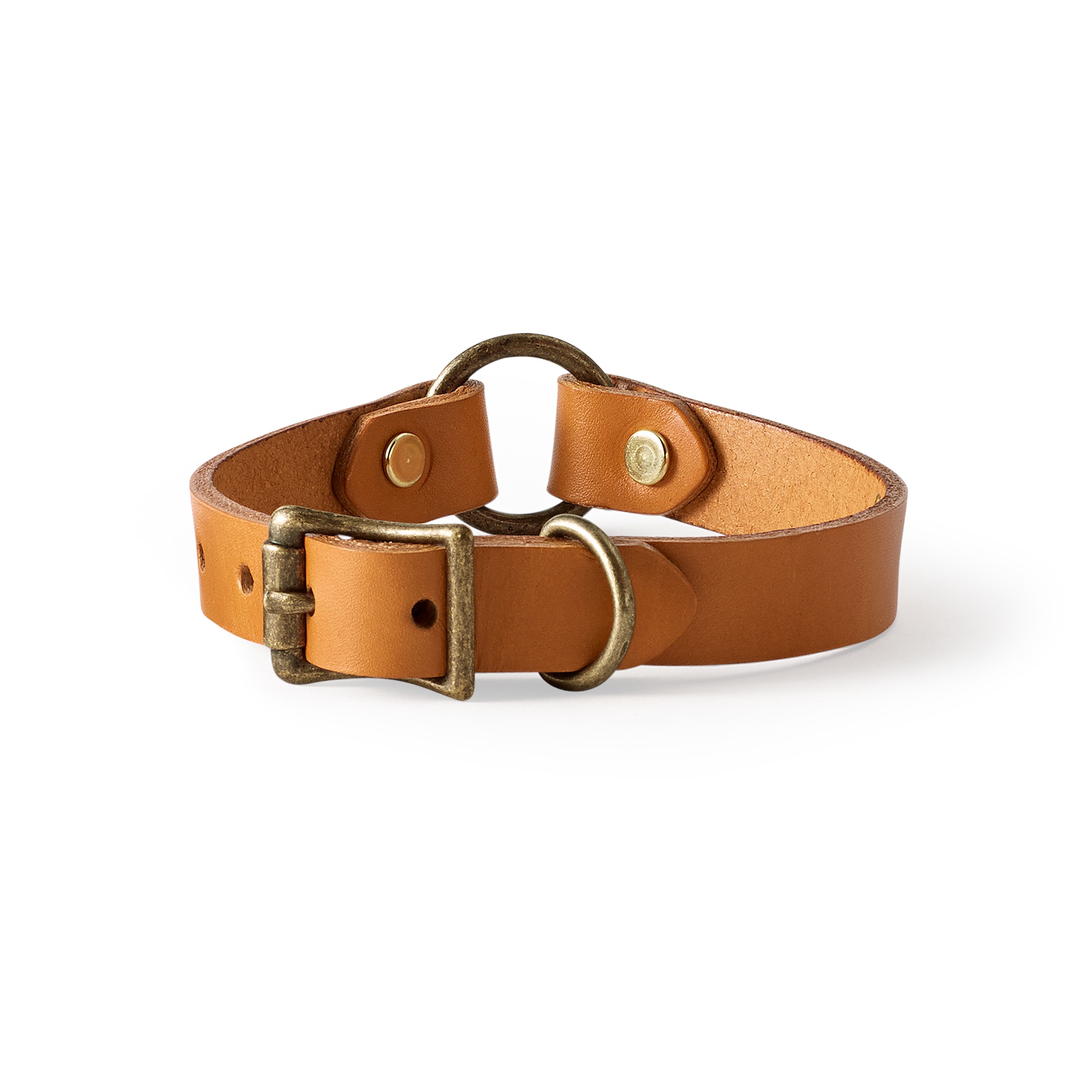 Nice leather dog collars hotsell